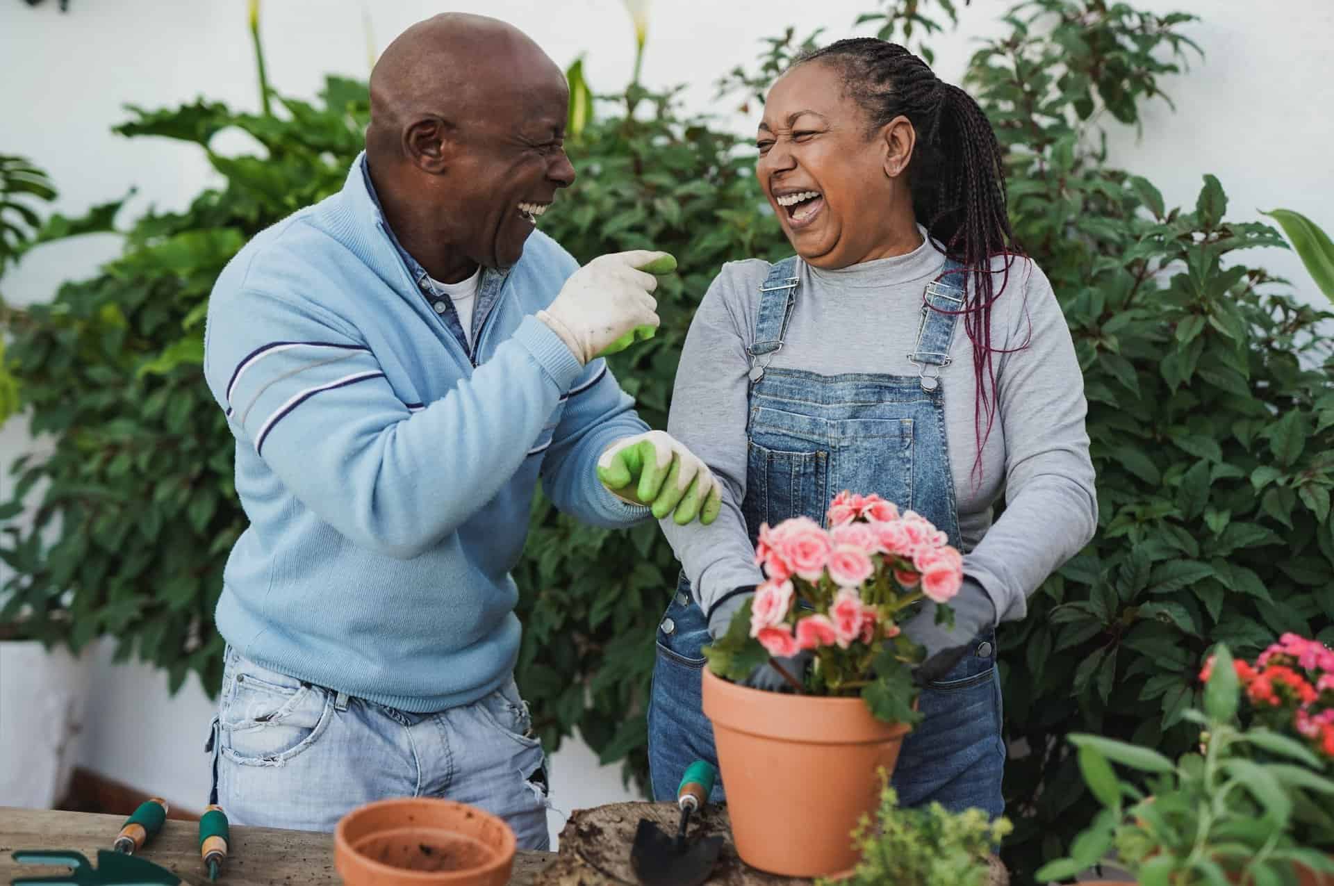 A couple laughing together while gardening.