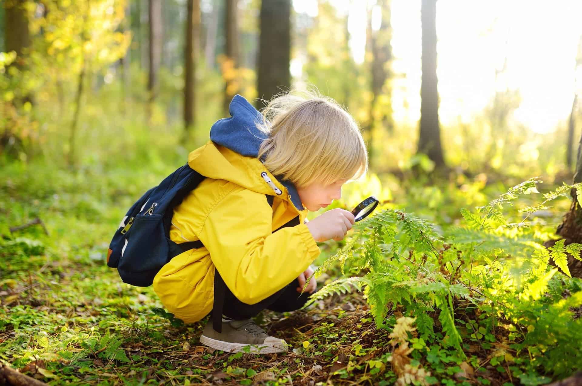 A boy using a magnifying glass in the woods.